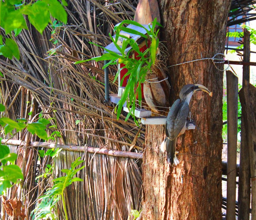 The Courtyard Villa Sigiriya Dış mekan fotoğraf